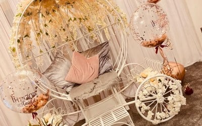 Our Cinderella Carriage is available for hire and makes an unusual backdrop for photographs