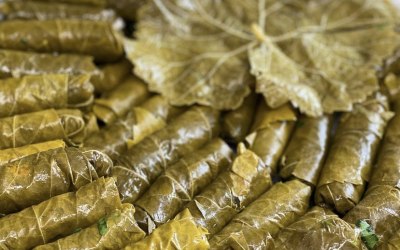 Traditional stuffed wine leaves