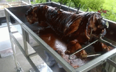The Welsh Hog Roast 