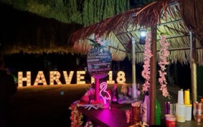 Tiki bar - outdoors for an 18th party. 