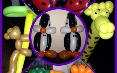 Balloon modelling
