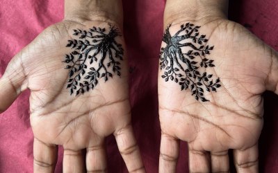 Palm designs