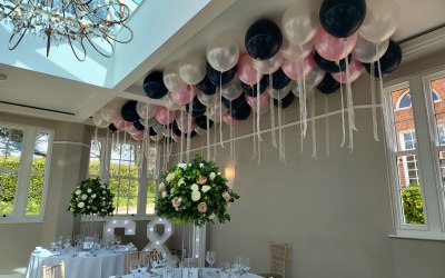 Ceiling Canopy