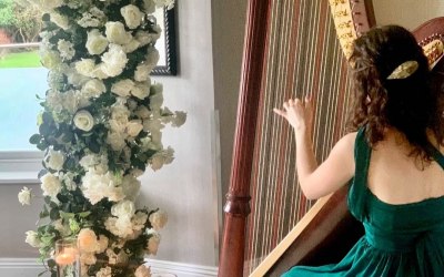 Harpist by candlelight
