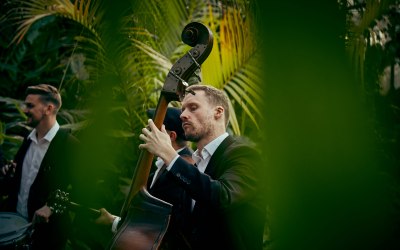 Double Bass from The Strolling Tones