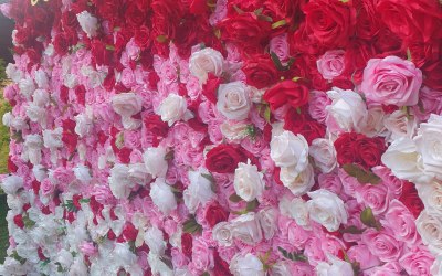 Flower walls 