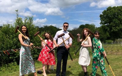 Anyone for croquet?