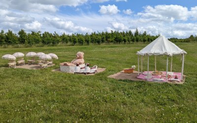 Teddy Bear Set Up