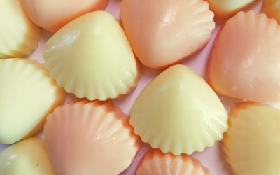 Sea Shells: perfect for a summer wedding