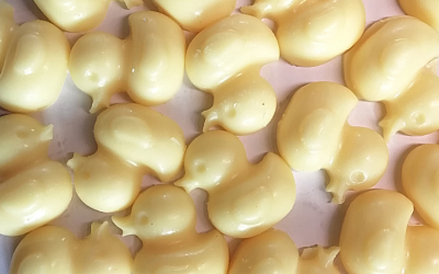 Ducks: fun wax melt shapes