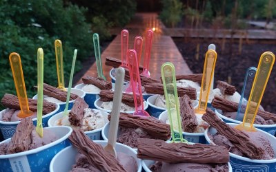 All inclusive ice cream 