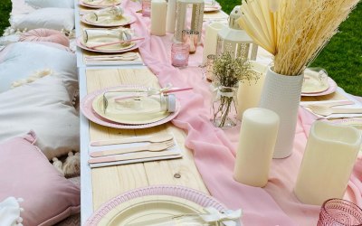 Picnic Party 