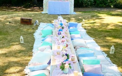 Picnic Party 