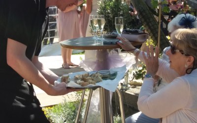 Other services available - canapes and drinks 