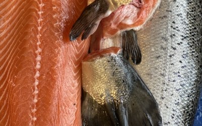 salmon for the event