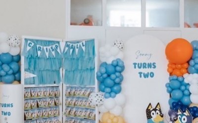 Bluey themed 2nd birthday