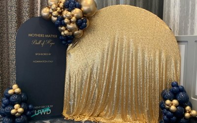 Charity ball for mothers matter at the vale hotel 