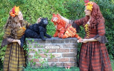 The Cackle Street Cats