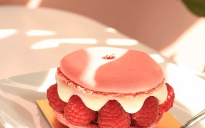 Raspberry Macaron