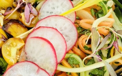Our tropical fusion sald 