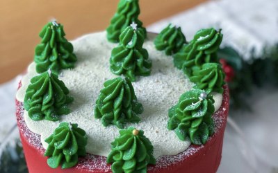 Christmas celebration cake