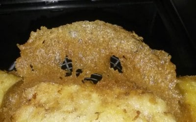 Puppy fish :)