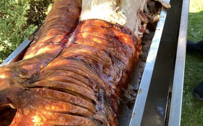 BEAUTIFUL LOCALLY REARED FREE-RANGE HOGS AND WILD VENISON