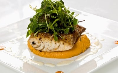 Main Course