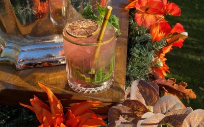 Wild Berry Mojito 