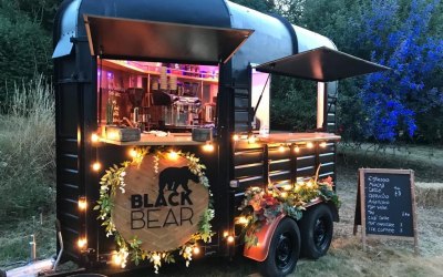 Black Bear