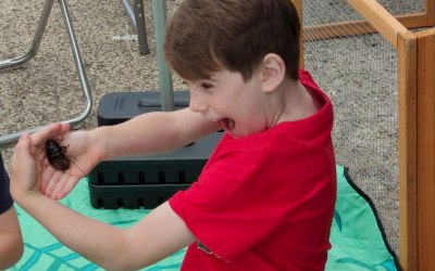 Boy handling Beetle