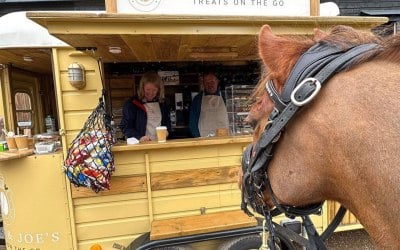 GW Equine Spring/Summer Series