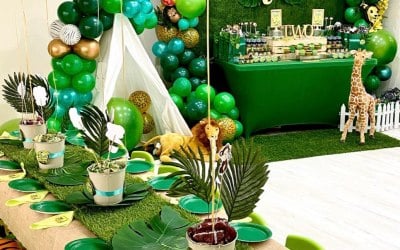 Children’s Birthdays and Chair and table hire
