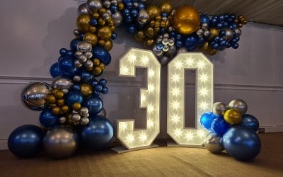 Light up numbers