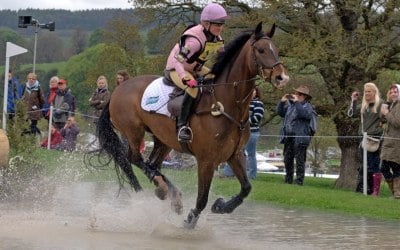 PA systems for Equestrian Events