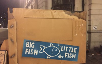 Big Fish Little Fish