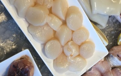 Seafood