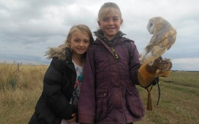 Fixter's Falconry