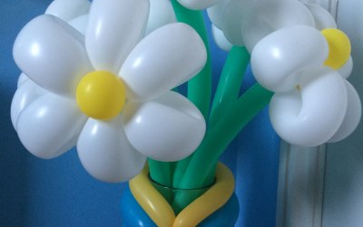 Balloon flowers