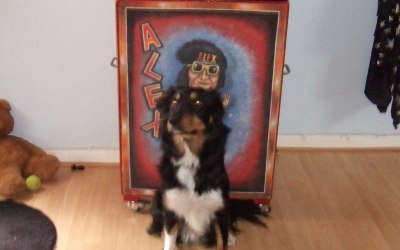 Who let the dog in 