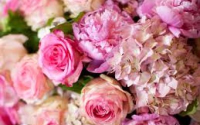 pretty in  pink