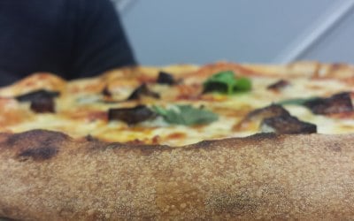 Calabrisella