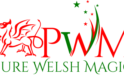 Cardiff magician DJ Williams
