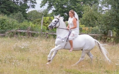 Wedding at St Andrew & St Mary, Watton at Stone