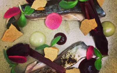 Torched mackerel, beets, lemon, borage