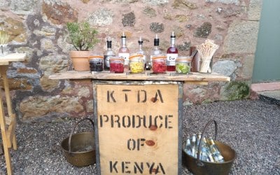 Pimp Your Prosecco with Scottish Craft Gins