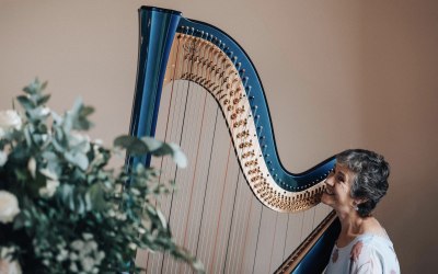 My fabulous new electro-acoustic harp