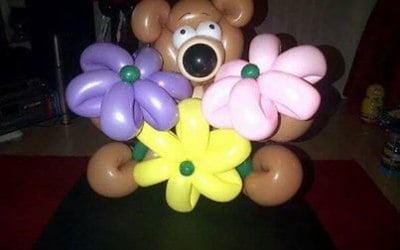 The Balloon Professor