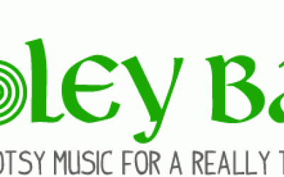 The New Hooley Band