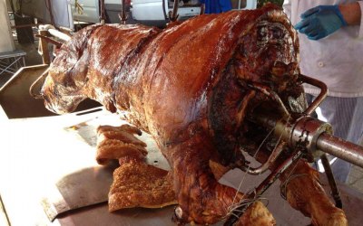 Glorious Pigs